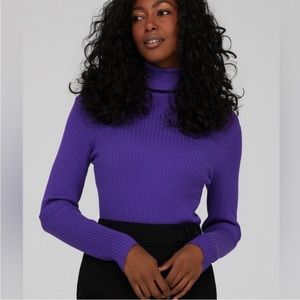 Purple long sleeved crop turtleneck